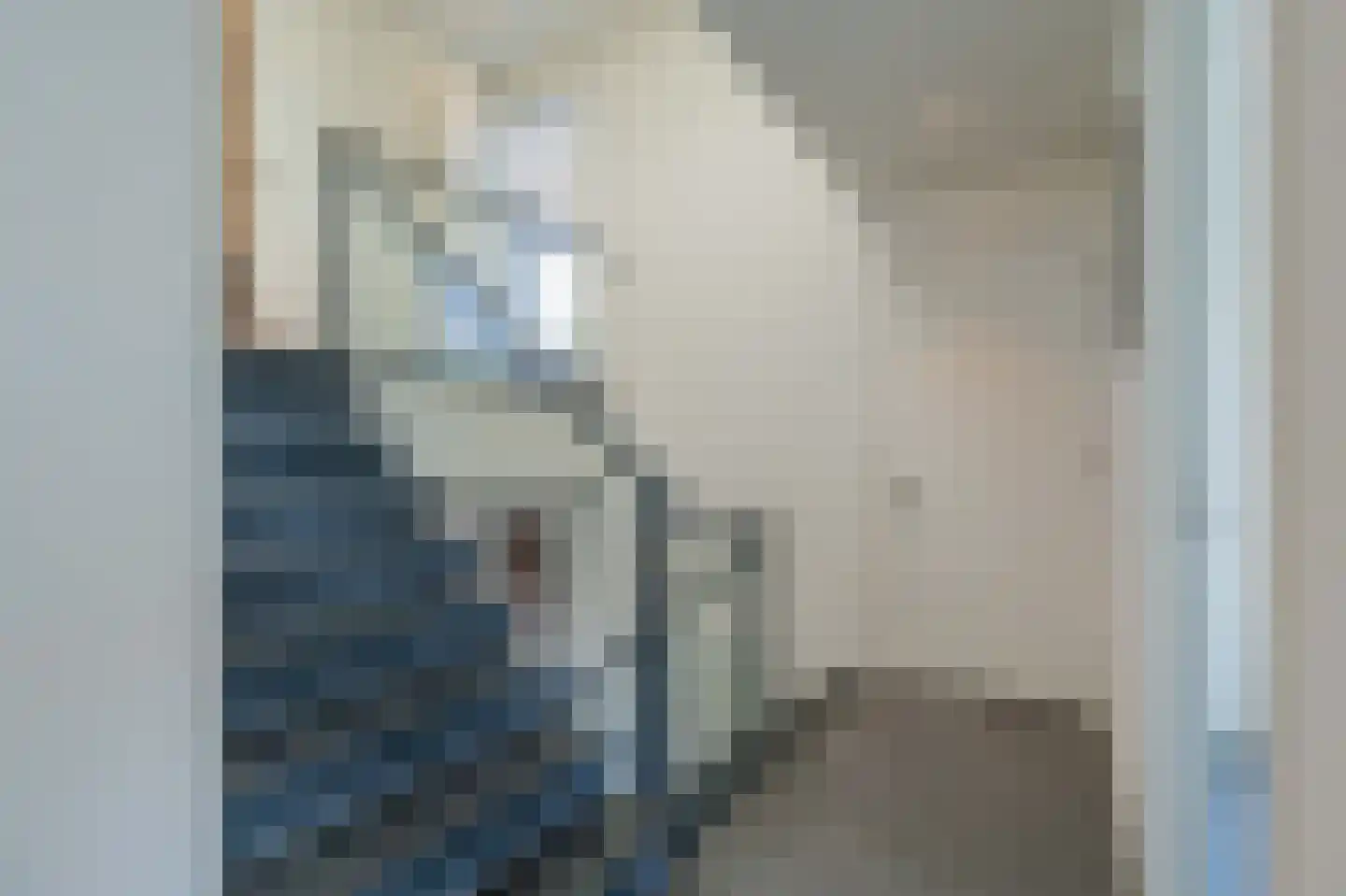 Wilhelminapolderweg 2 Arnemuiden thumbnail 20