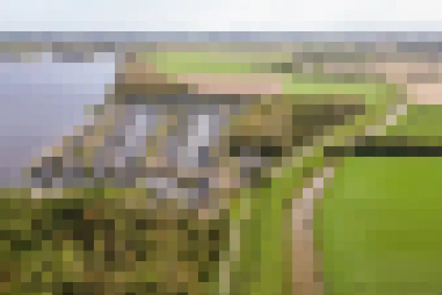 Wilhelminapolderweg 2 Arnemuiden thumbnail 22