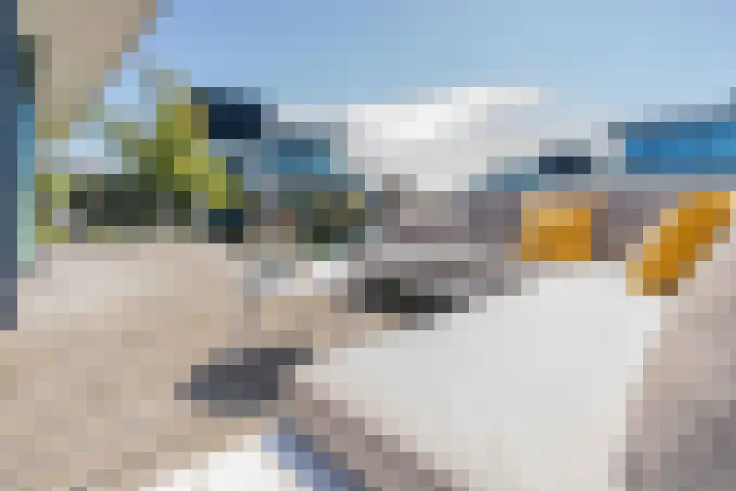 Wilhelminapolderweg 2 Arnemuiden thumbnail 27