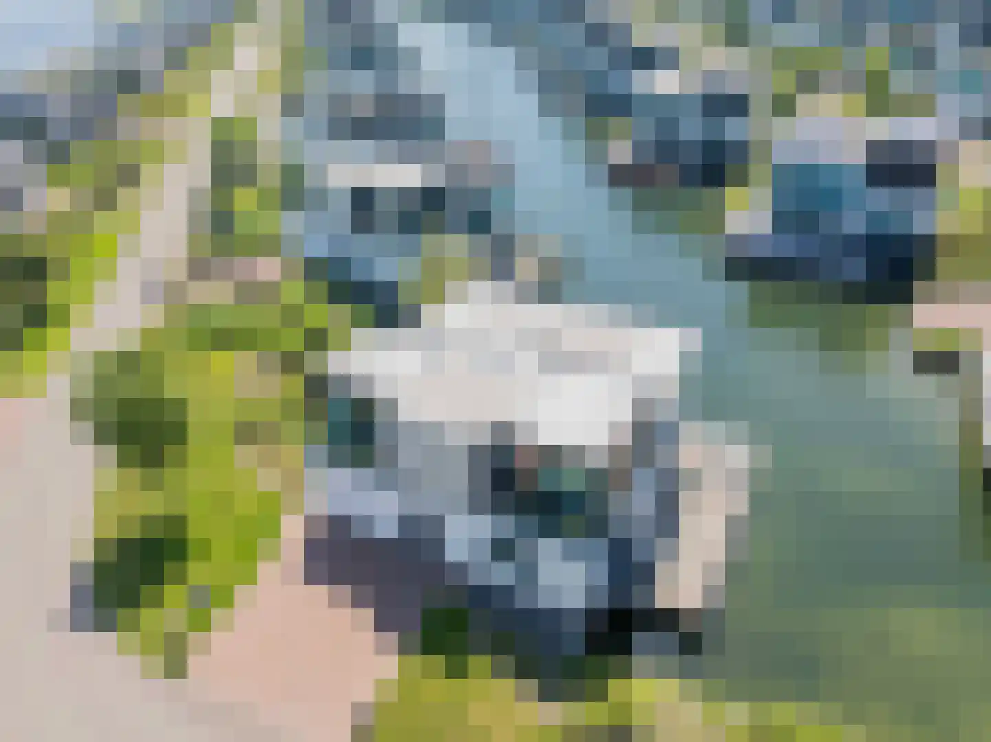 Wilhelminapolderweg 2 Arnemuiden thumbnail 39
