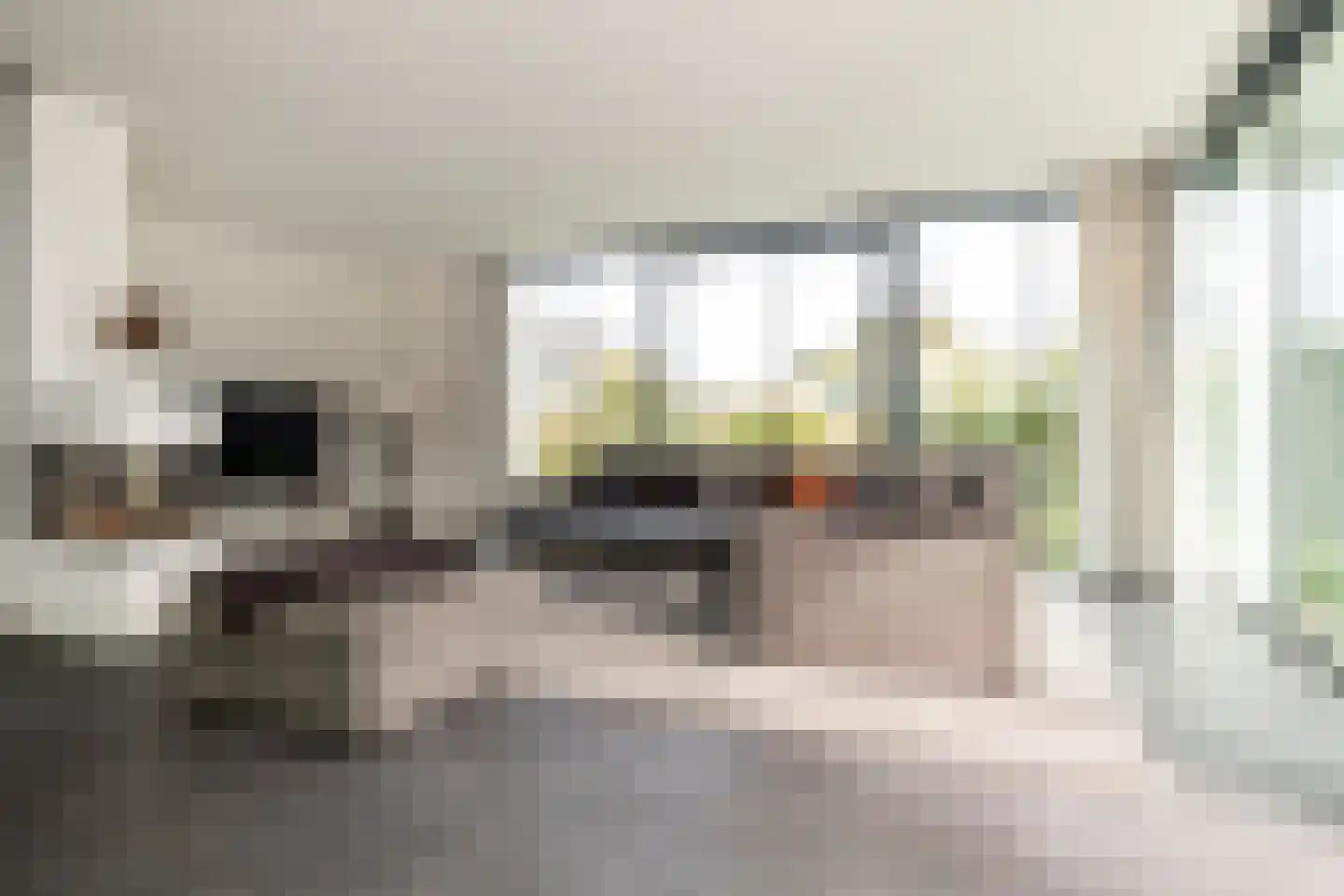Wilhelminapolderweg 2 Arnemuiden thumbnail 8
