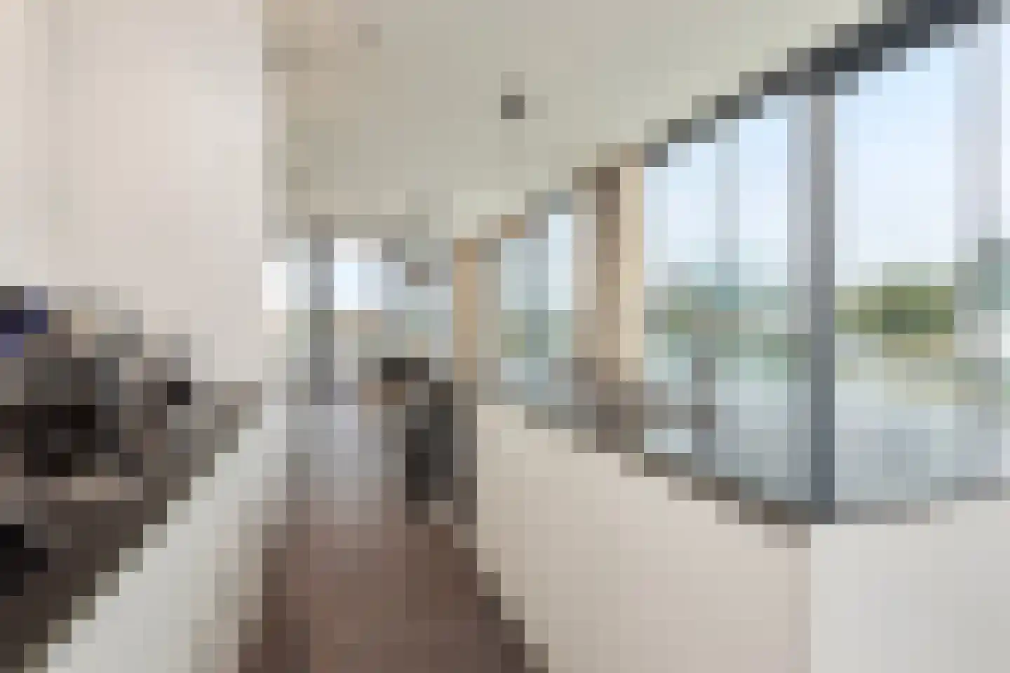 Wilhelminapolderweg 21 Arnemuiden thumbnail 16