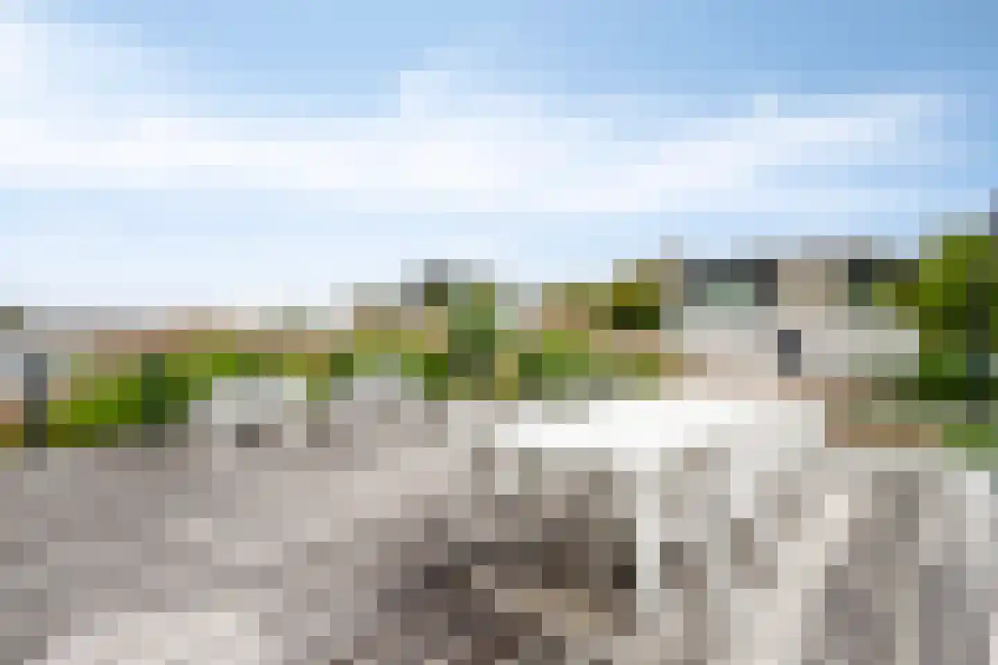 Wilhelminapolderweg 21 Arnemuiden thumbnail 42