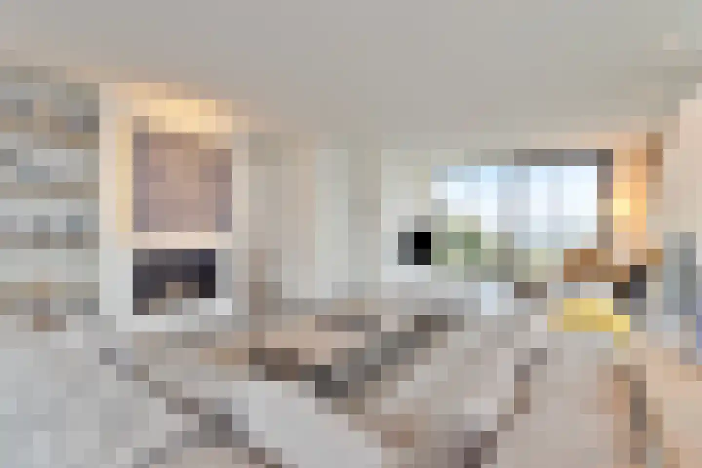 Wilhelminapolderweg 21 Arnemuiden thumbnail 9