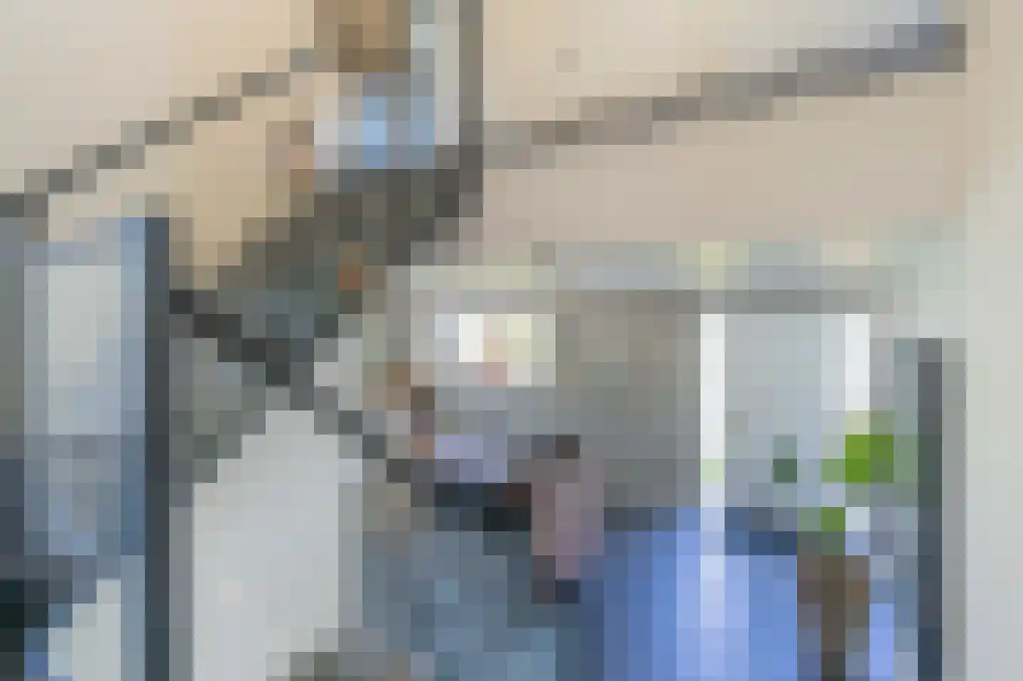 Wilhelminapolderweg 6 Arnemuiden thumbnail 11