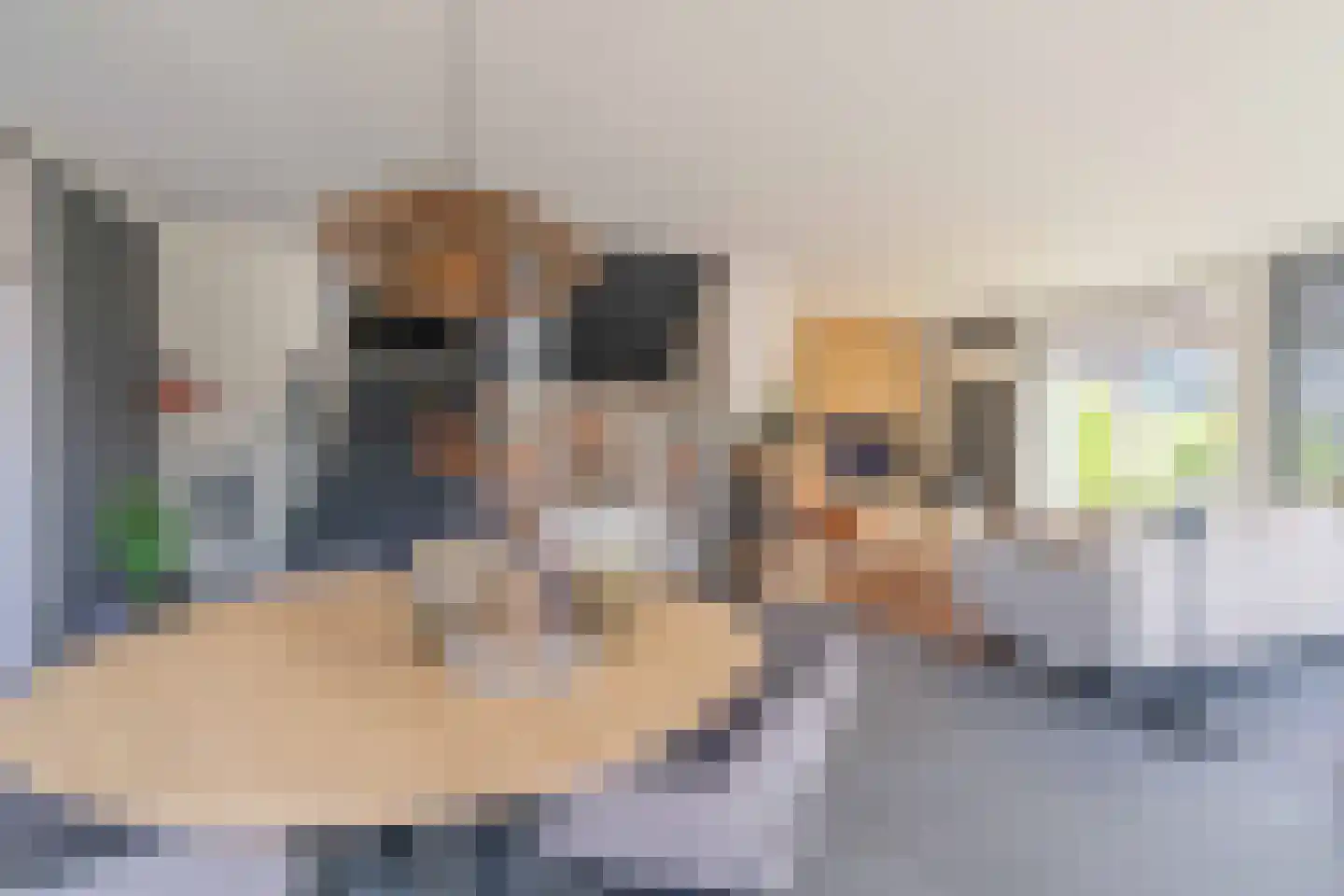 Wilhelminapolderweg 6 Arnemuiden thumbnail 12