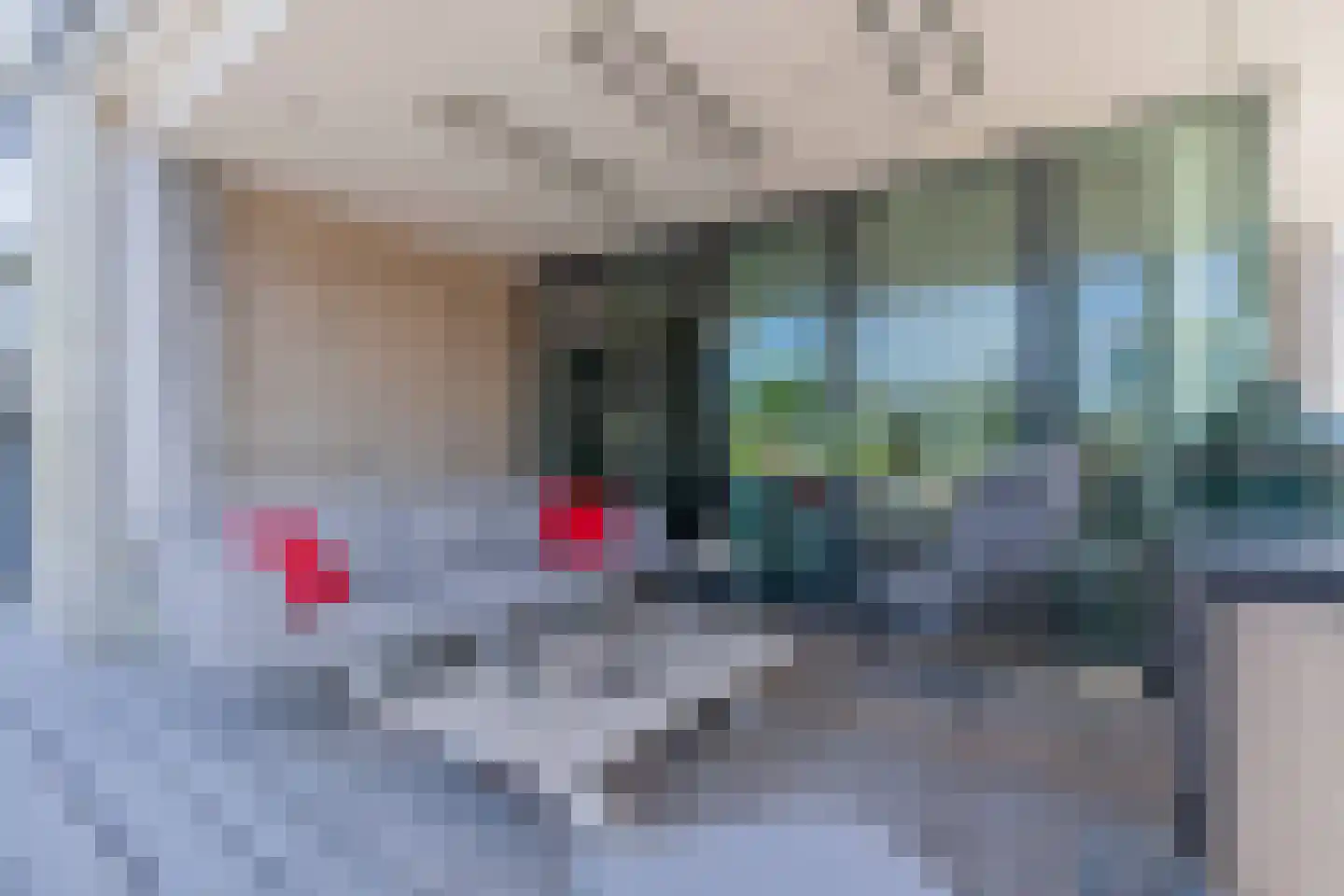 Wilhelminapolderweg 6 Arnemuiden thumbnail 17