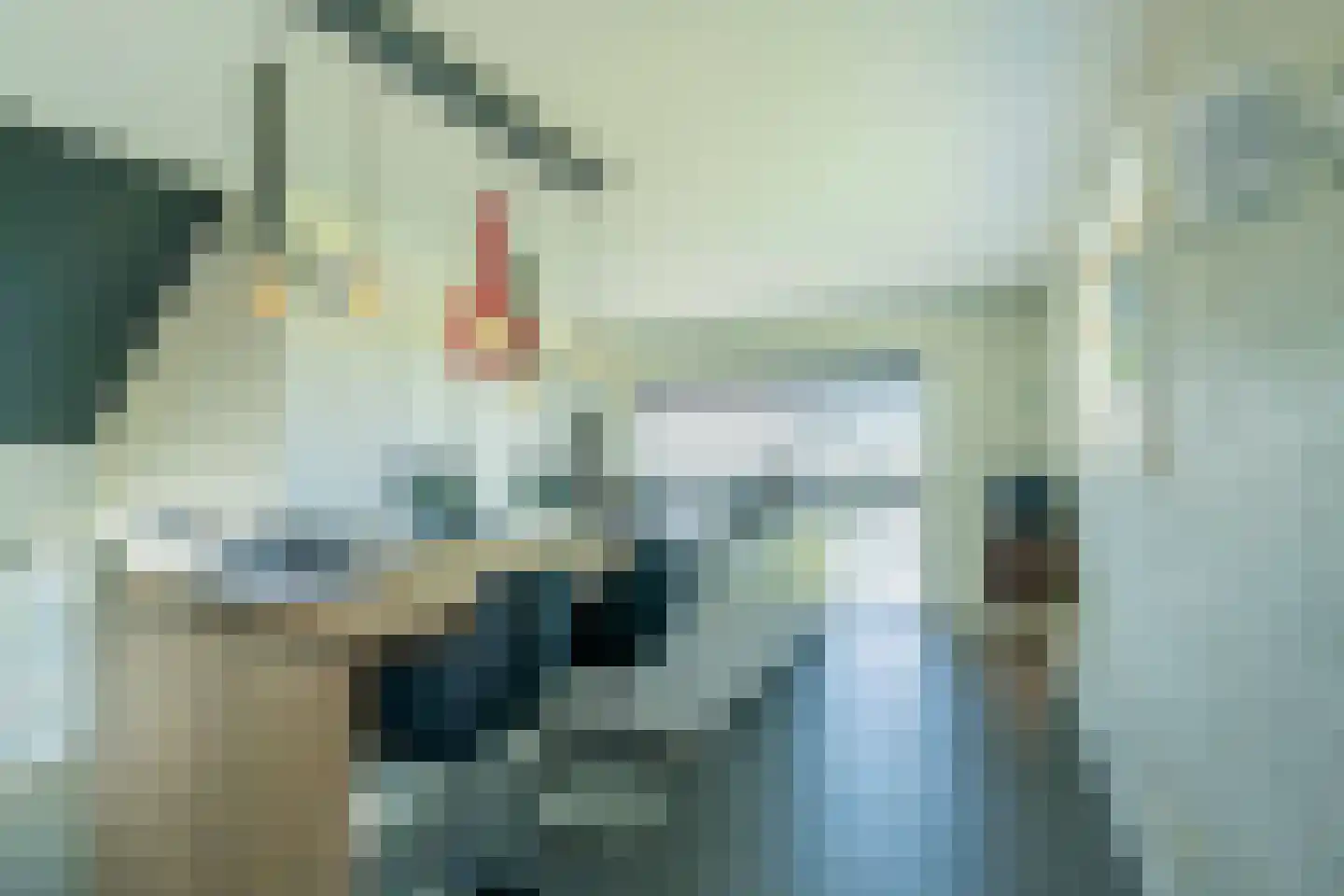 Wilhelminapolderweg 6 Arnemuiden thumbnail 7