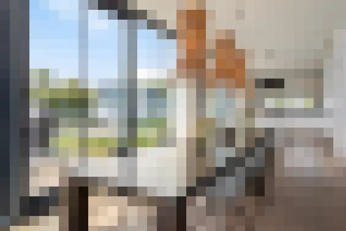Wilhelminapolderweg 7 Arnemuiden thumbnail 14