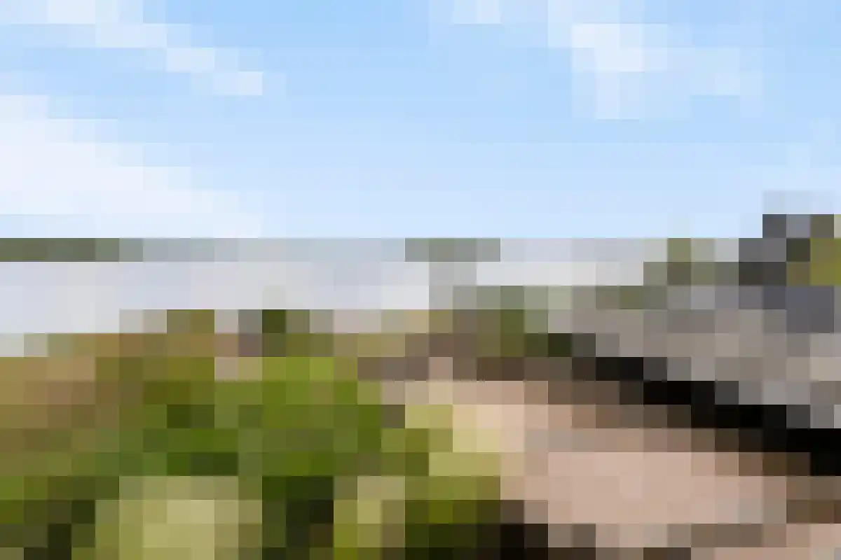 Wilhelminapolderweg 7 Arnemuiden thumbnail 49