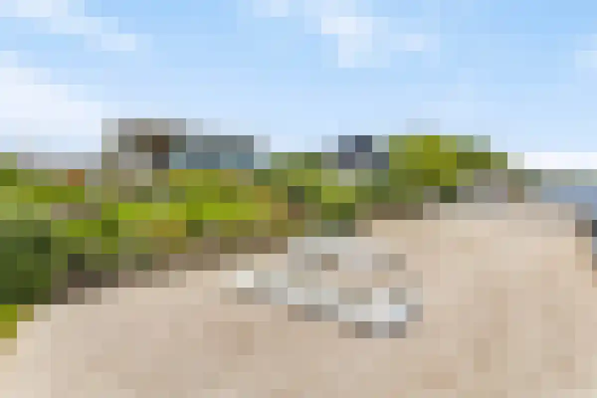 Wilhelminapolderweg 7 Arnemuiden thumbnail 5
