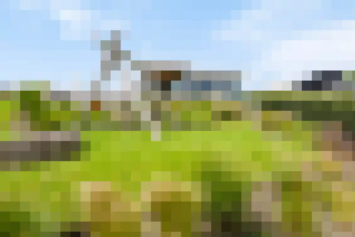 Wilhelminapolderweg 7 Arnemuiden thumbnail 56