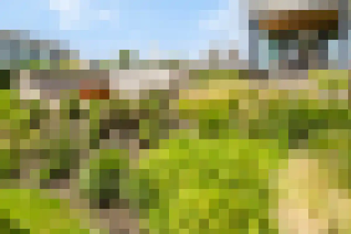 Wilhelminapolderweg 7 Arnemuiden thumbnail 57