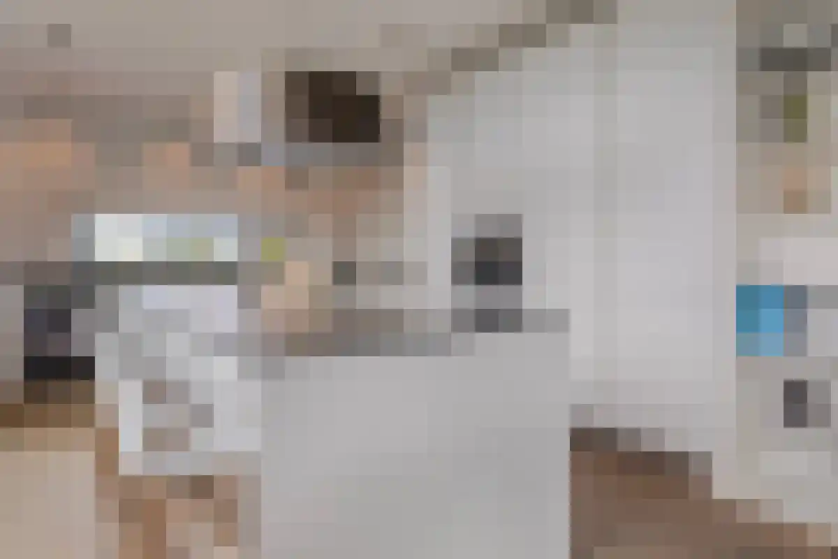 Wilhelminapolderweg 7 Arnemuiden thumbnail 6