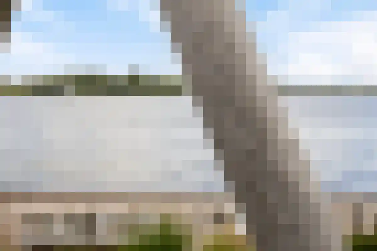 Wilhelminapolderweg 7 Arnemuiden thumbnail 61