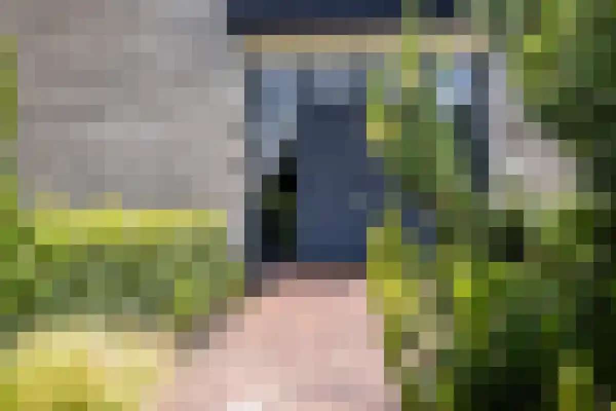 Wilhelminapolderweg 7 Arnemuiden thumbnail 9