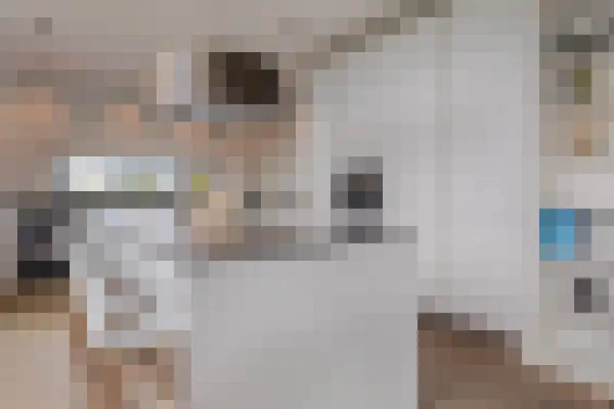 Wilhelminapolderweg 7 Arnemuiden thumbnail 9