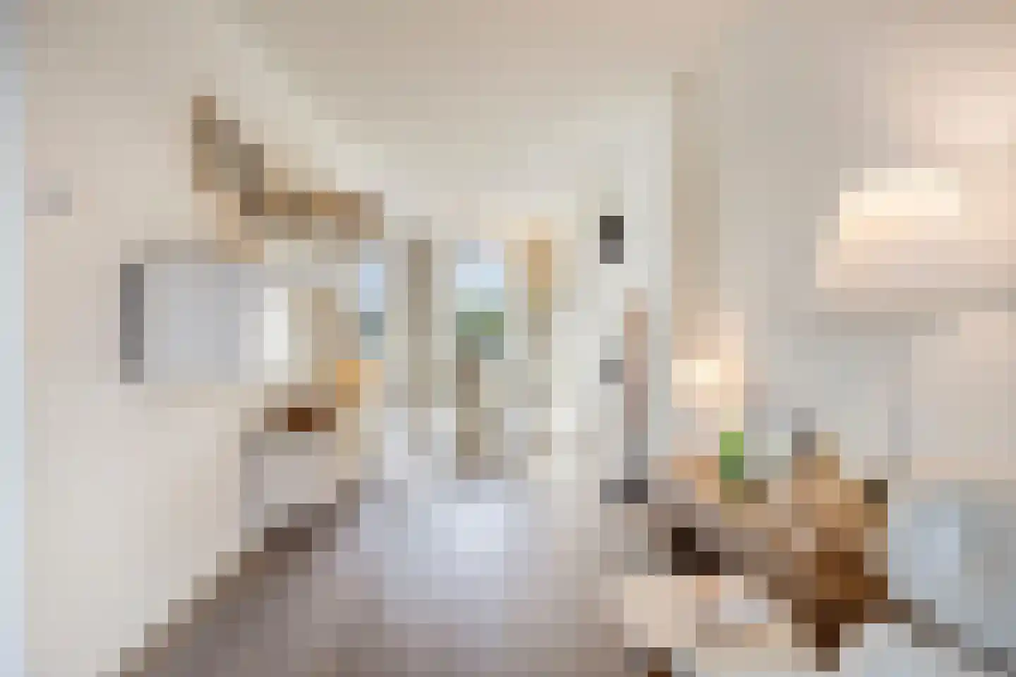 Wilhelminasingel 106 E 01 Maastricht thumbnail 12