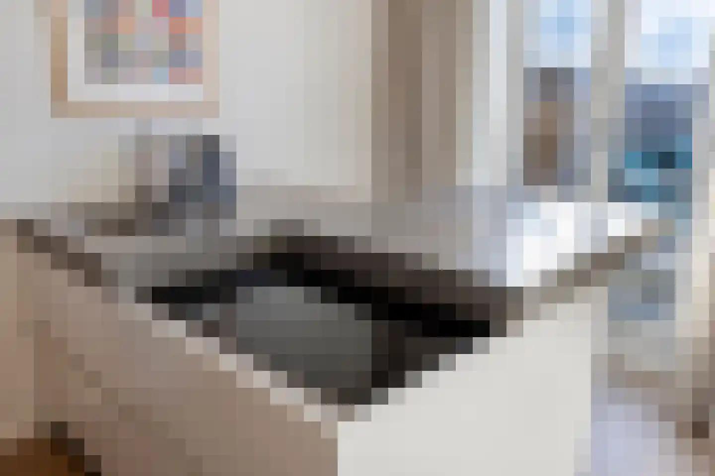 Wilhelminasingel 106 E 01 Maastricht thumbnail 17
