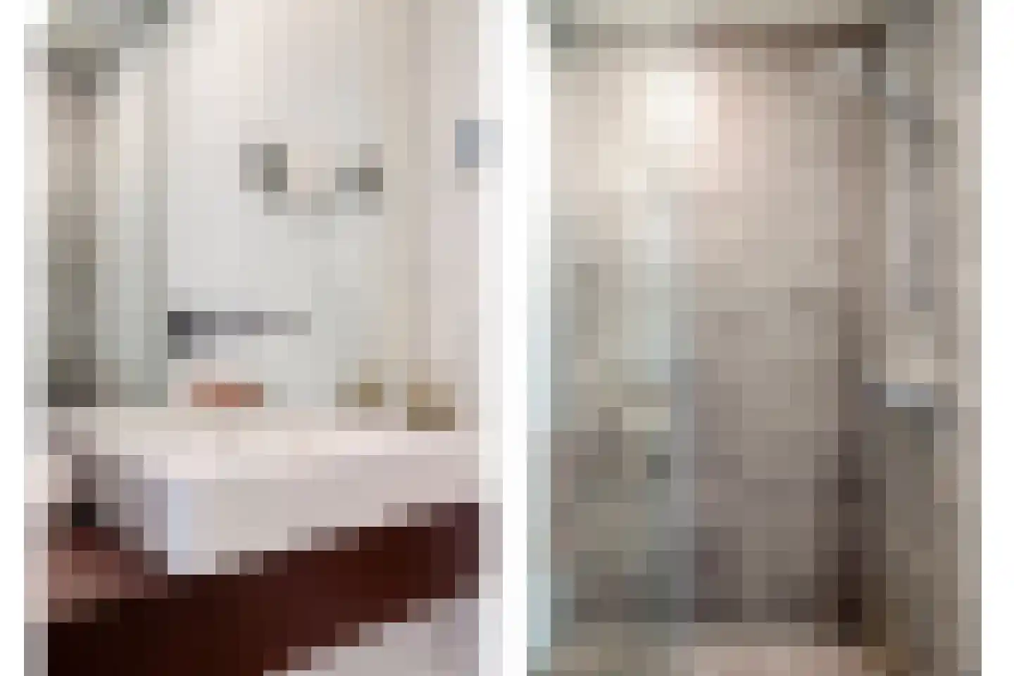 Wilhelminasingel 106 E 01 Maastricht thumbnail 30