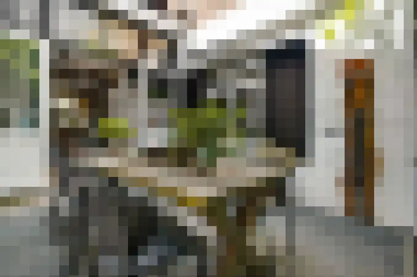Wilhelminasingel 125 Maastricht thumbnail 13