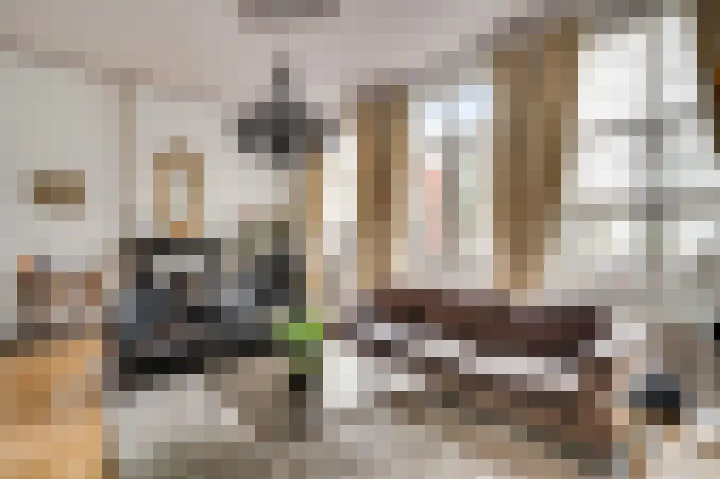 Wilhelminasingel 125 Maastricht thumbnail 18