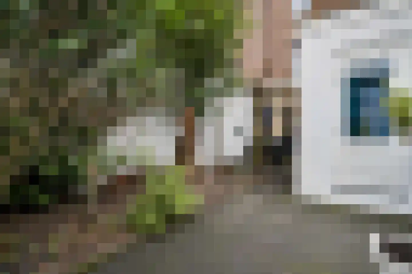 Wilhelminasingel 125 Maastricht thumbnail 21