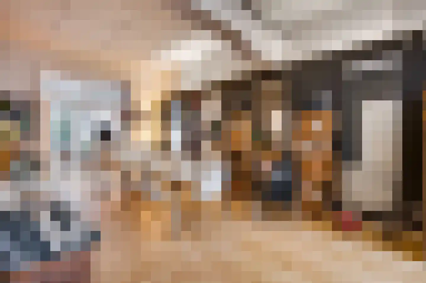 Wilhelminasingel 125 Maastricht thumbnail 6