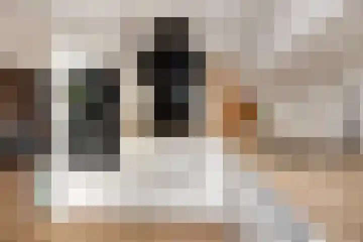 Wilhelminasingel 16 Pijnacker thumbnail 14