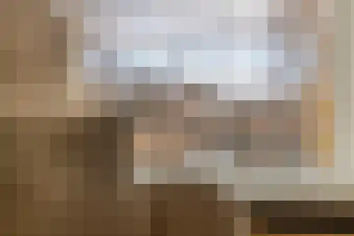Wilhelminasingel 16 Pijnacker thumbnail 21
