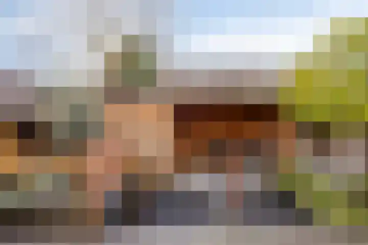 Wilhelminasingel 16 Pijnacker thumbnail 5