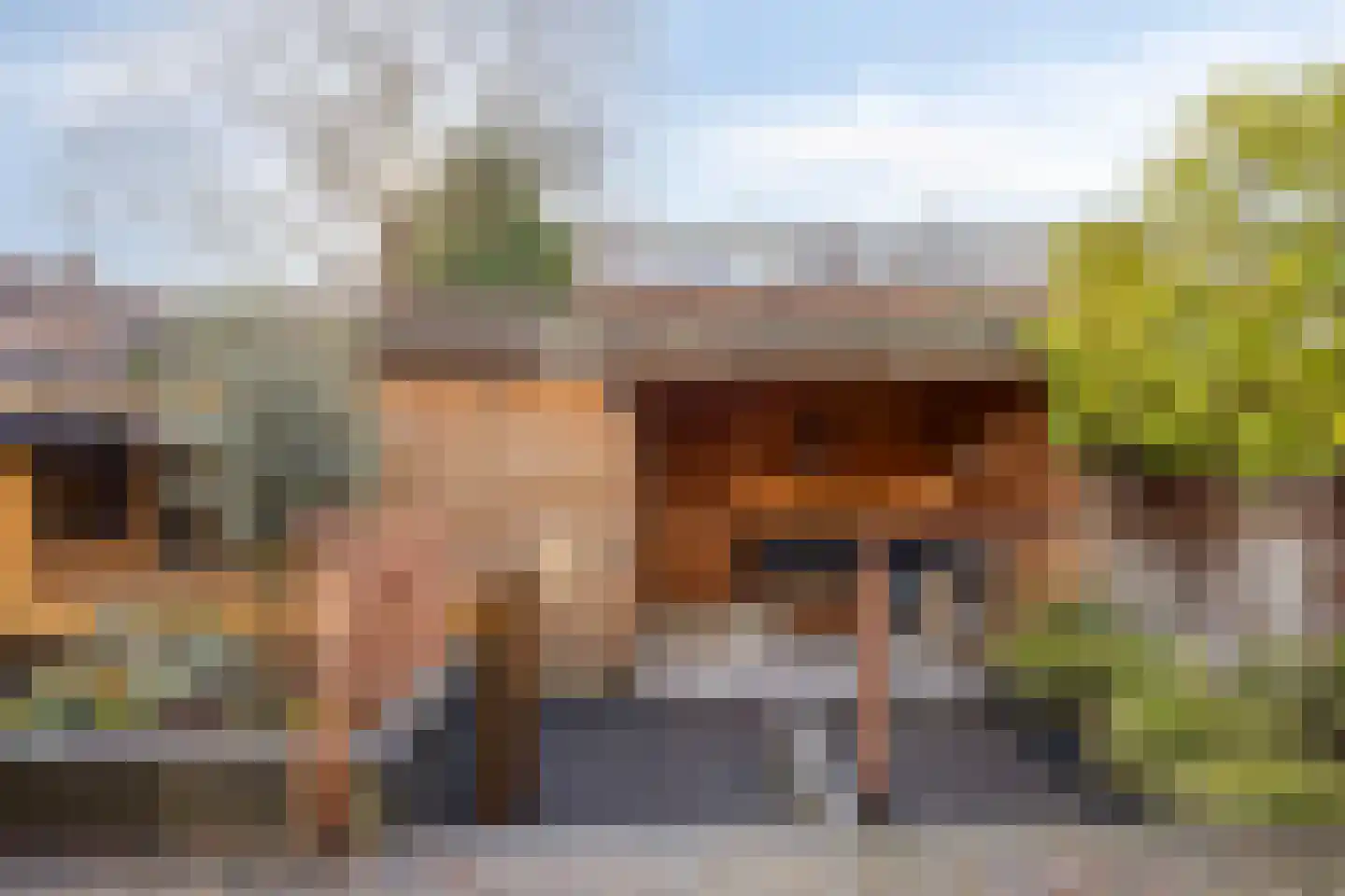 Wilhelminasingel 16 Pijnacker thumbnail 5