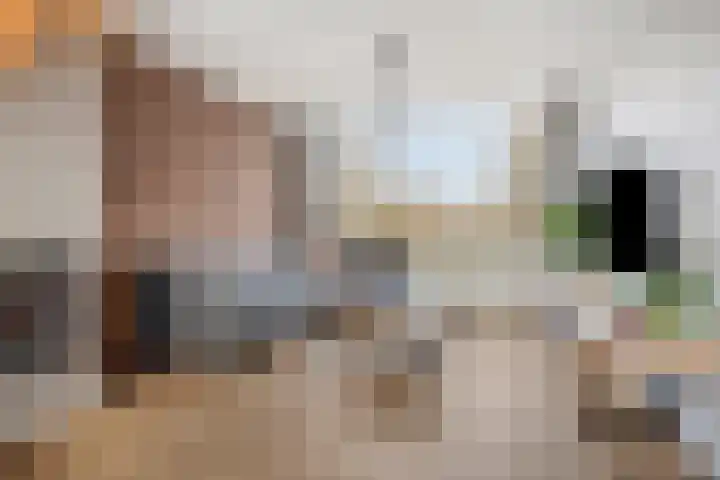 Wilhelminasingel 16 Pijnacker thumbnail 9