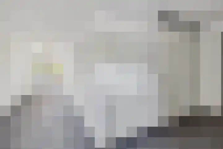 Wilhelminasingel 17 B4 Breda thumbnail 18