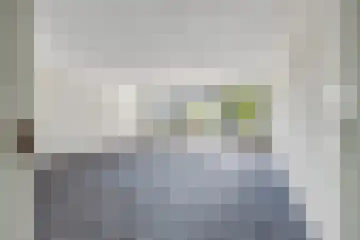 Wilhelminasingel 17 B4 Breda thumbnail 20