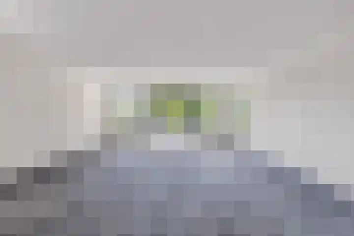 Wilhelminasingel 17 B4 Breda thumbnail 21