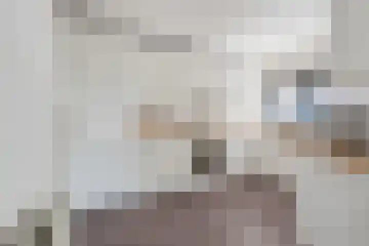 Wilhelminasingel 17 B4 Breda thumbnail 31