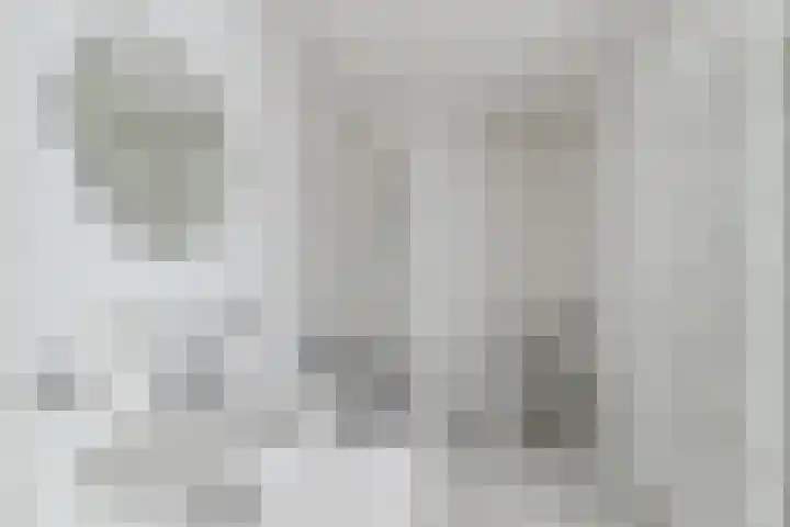 Wilhelminasingel 17 B4 Breda thumbnail 41
