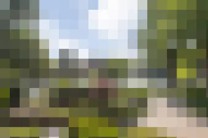 Wilhelminasingel 17 B4 Breda thumbnail 45