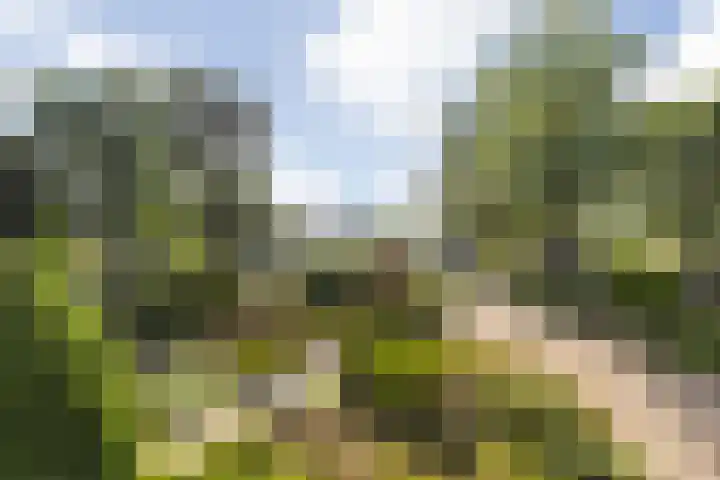 Wilhelminasingel 17 B4 Breda thumbnail 46