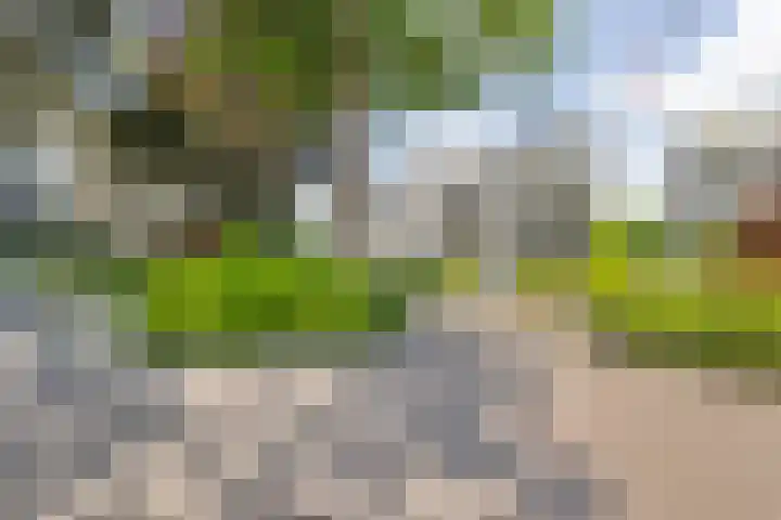 Wilhelminasingel 17 B4 Breda thumbnail 49
