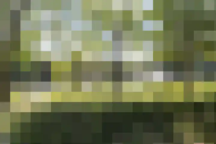 Wilhelminasingel 17 B4 Breda thumbnail 50