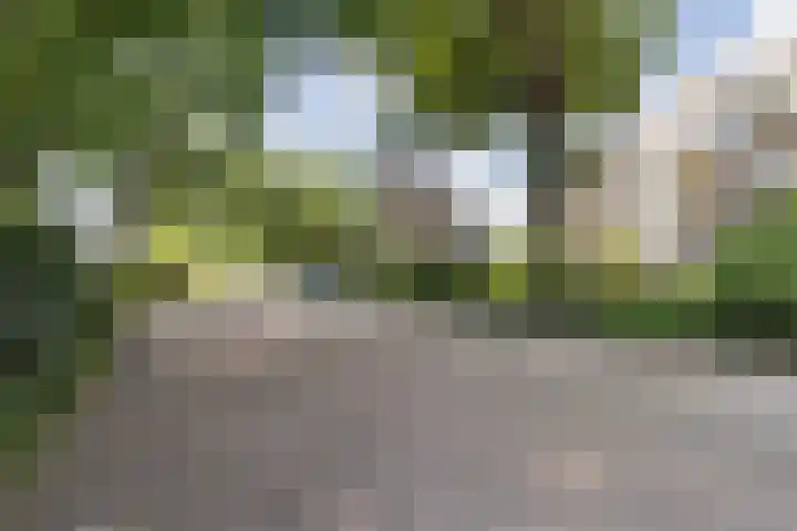 Wilhelminasingel 17 B4 Breda thumbnail 51