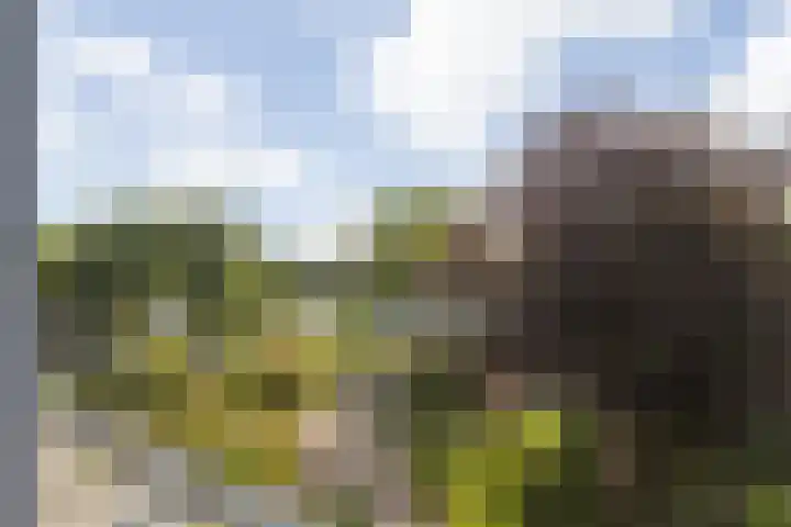 Wilhelminasingel 17 B4 Breda thumbnail 54