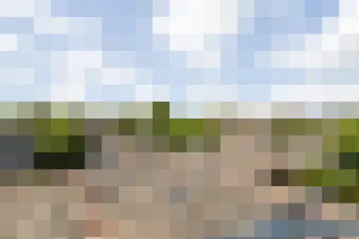 Wilhelminasingel 17 B4 Breda thumbnail 56