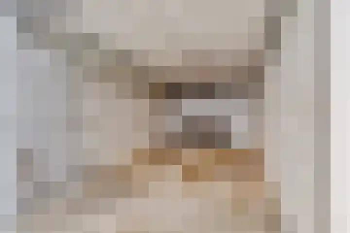 Wilhelminasingel 17 B4 Breda thumbnail 59