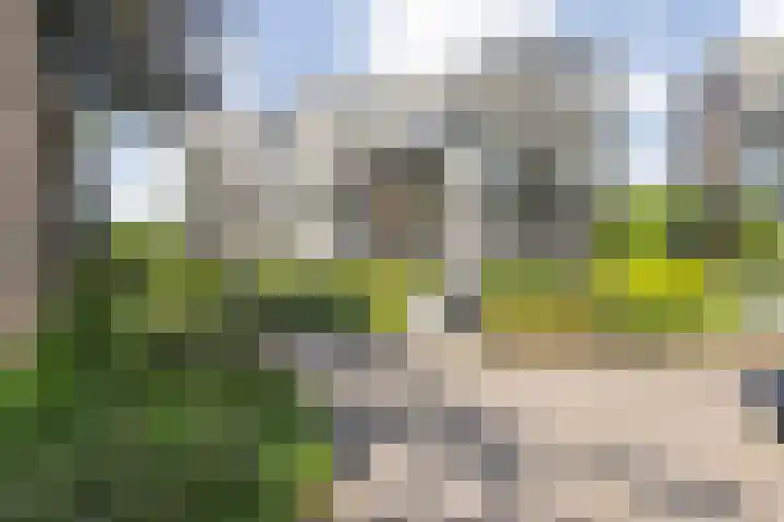 Wilhelminasingel 17 B4 Breda thumbnail 6