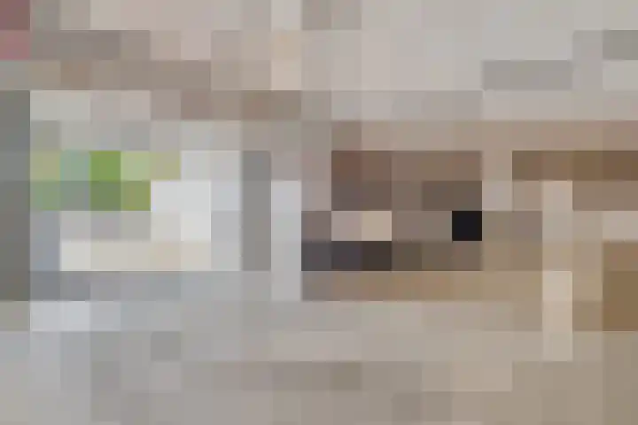 Wilhelminasingel 17 B4 Breda thumbnail 60