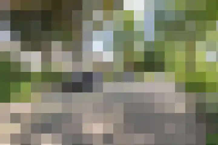 Wilhelminasingel 17 B4 Breda thumbnail 61