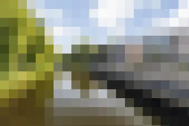 Wilhelminasingel 17 B4 Breda thumbnail 8
